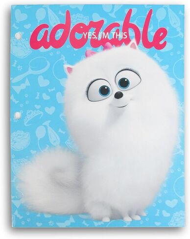 Making the Grade Character Folder for Back to School - 3-Hole 2-Pocket Portfolio Folders (Princess Adventure Gals) in Kuwait