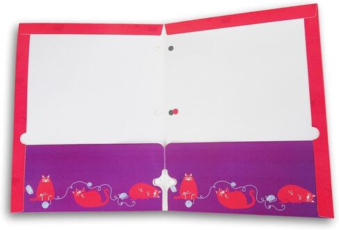 Making the Grade Character Folder for Back to School - 3-Hole 2-Pocket Portfolio Folders (Princess Adventure Gals) in Kuwait