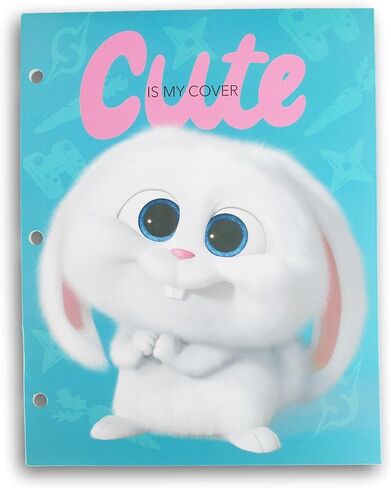 Making the Grade Character Folder for Back to School - 3-Hole 2-Pocket Portfolio Folders (Princess Adventure Gals) in Kuwait