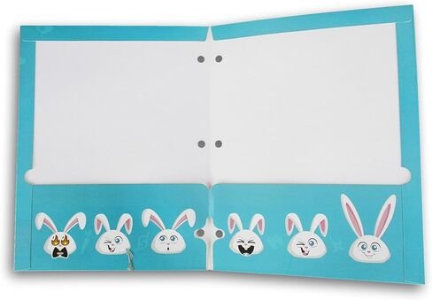 Making the Grade Character Folder for Back to School - 3-Hole 2-Pocket Portfolio Folders (Princess Adventure Gals) in Kuwait