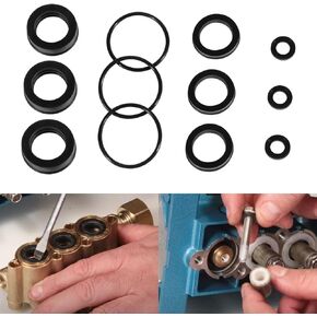 12 PCS Replacement 76975 Seal Kit for 4DNX Pumps Fits for CAT 4DNX25GSI & 4DNX27GSI Pump