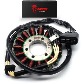 MZS Motorcycle Electric Stator Coil 12317718420 Compatible with S1000RR 2009-2017 | S1000R 2014-2017 | HP4 2013-2014