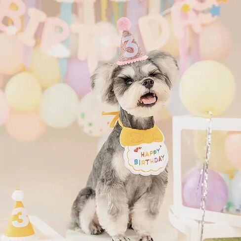 قبعة مخروطية لعيد الميلاد الثالث، قبعة عيد ميلاد بيضاء لامعة مع قبعة قوس قزح لعيد الميلاد باللون الوردي لحفلة عيد الميلاد، قبعة دعائم صور عيد ميلاد لامعة للأولاد والبنات، قبعة قوس قزح الباستيل in Kuwait