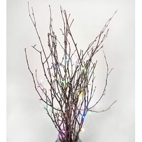 Decorative Birch Branches Decoration, 23 Inch Birch Stems for Wedding Decor,Dried Twigs for Christmas Decor (White)