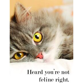 Remember to Drink Plenty of Fluids and Get Lots of Rest! Get Well Soon! Greeting Card wih Mailing Envelope