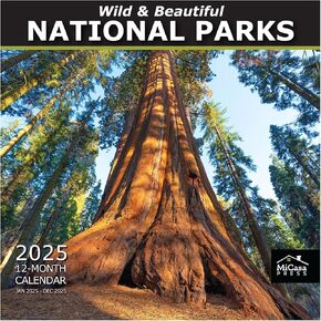 MICASA Wild & Beautiful National Parks 2025 Hangable Monthly Wall Calendar | 12" x 24" Open | Thick & Sturdy Paper | Giftable