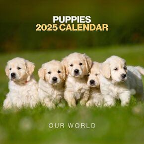 Puppy Calendar 2025 - Large 12 Month 2025 Wall Calendar - Month to View Dog Calendar 2025 Made by Our World