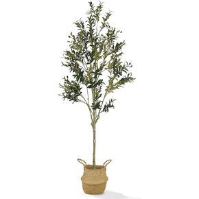 Faux Olive Tree 7 Feet - Free Wicker Olive Tree Planter Pot Included - Olive Trees Artificial Indoor for Your Home Decor Living Room - Tall Fake Tree, Ideal as Tall Plant Decor