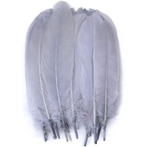 Punhung 100Pcs 15-20cm/6-8 inches Natural Large Goose Feathers Plume Colored Feathers for Dream Catcher DIY Craft Clothing Decoration Jewelry Making (Green)