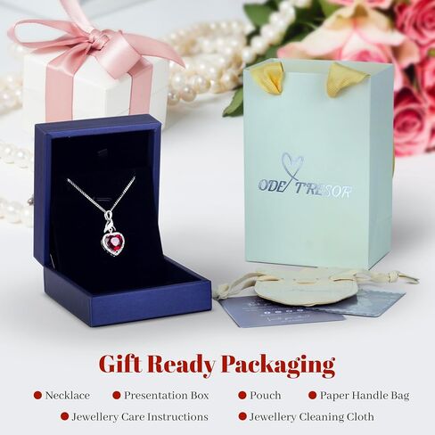 Platinum Plated Sterling Silver Infinity Heart Necklace Gift for Women's Birthstone Necklace Gift for Her Anniversary Present for Girlfriend or Wife in Saudi Arabia
