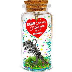 Anniversary Rawr Means I Love You in Dinosaur Valentines Gift, Romantic Message in a Bottle, Fun Birthday Cute T-Rex Dino Gifts for Him Her Boyfriend Girlfriend Husband Wife Couple