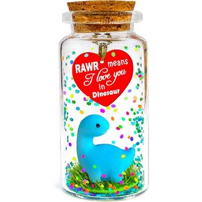 Anniversary Rawr Means I Love You in Dinosaur Valentines Gift, Romantic Message in a Bottle, Fun Birthday Cute T-Rex Dino Gifts for Him Her Boyfriend Girlfriend Husband Wife Couple