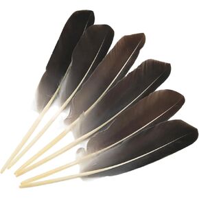 LUORNG 15PCS Goose Feather Grey Blade Feather Round Head, Pen Like Crafts Stage Props 20 to 24 cm Long for Clothing Accessories Party Masks Halloween Hats Bags for Women Headwear