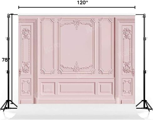 Kate 6.5×6.5ft Light Pink Empty Room Photo Backdrop Classic Interior Wedding Photography Background Photo Studio Props for Photographers in Kuwait