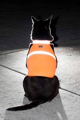 2PET سترة صيد للكلاب وسترة عاكسة للسلامة - تستخدم للرؤية العالية - تحمي الحيوانات الأليفة من السيارات وحوادث الصيد في كل من البيئات الحضرية والريفية - برتقالي مشع صغير in Kuwait
