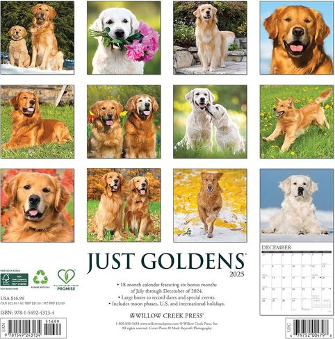 Willow Creek Press Goldens Monthly 2025 Wall Calendar (12" x 12") in Saudi Arabia