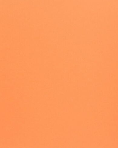 Cardstock Warehouse Woodstock Verde Green Premium Cardstock Paper - 12 x 12" - 83 Lb. / 225 Gsm - 25 Sheets in Saudi Arabia