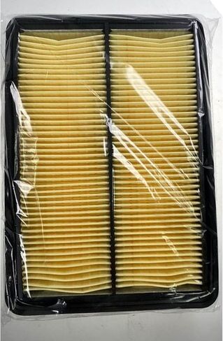 فلتر هواء المحرك لـ ROGUE(2014-2020)، ROGUE Sport (2017-2022)، Qashqai (2017-2023)، بديل لـ 165464BA1A، XA10423، CA11858 in Kuwait