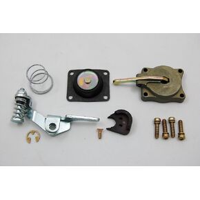 Advanced Engine Design AED 5565 50cc Accelerator Pump Kit