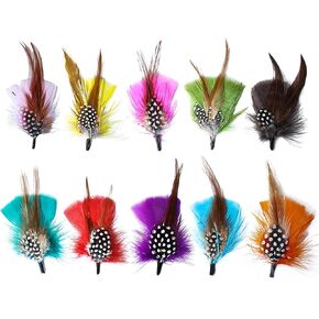 10 Pcs Hat Feather Accessories Assorted Natural Feathers Decoration for Hats Fedoras