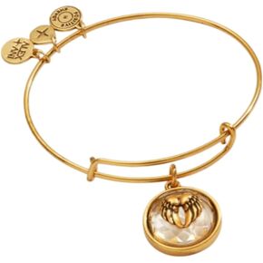 Alex and Ani Crystal Angel Wing Charm Bangle