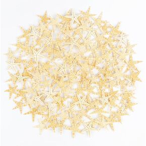 120 PCS Small Starfish, 0.5" to 1.5" Natural Starfish Mini Starfish Tiny Starfish Bulk Starfish for Crafts Wedding Decor Beach Theme Party, Home Decorations, DIY Crafts, Fish Tank
