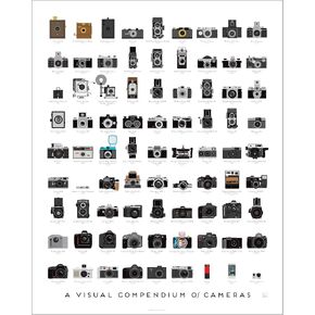 Pop Chart | Visual Compendium of Cameras | 16" x 20" Art Poster | Camera Decor for Living Room and Office | Illustrated History of Notable Cameras | 100% Made in the USA