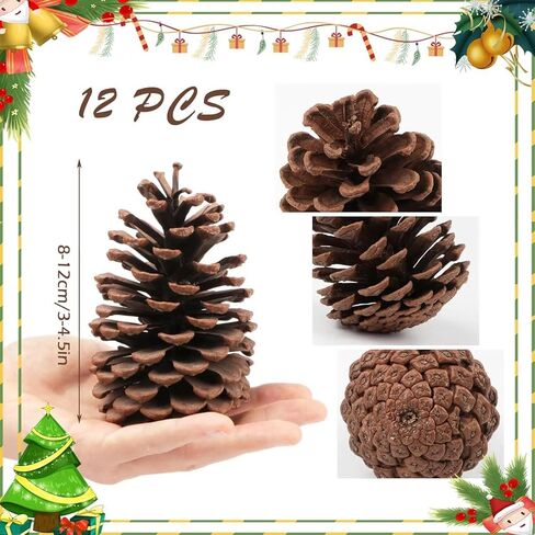 12 قطعة من مخاريط الصنوبر الكبيرة، من 3 إلى 4 بوصات غير معطرة من مخاريط الصنوبر لعيد الميلاد للحرف اليدوية وحشو مزهرية طاولة شجرة الكريسماس ديكور المنزل in Kuwait