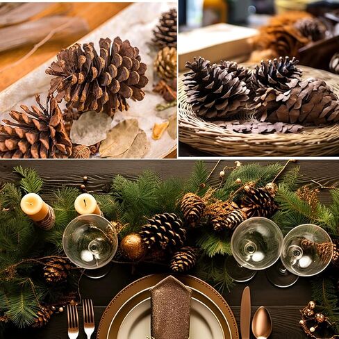 12 قطعة من مخاريط الصنوبر الكبيرة، من 3 إلى 4 بوصات غير معطرة من مخاريط الصنوبر لعيد الميلاد للحرف اليدوية وحشو مزهرية طاولة شجرة الكريسماس ديكور المنزل in Kuwait