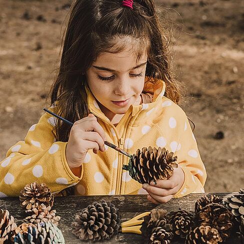 12 قطعة من مخاريط الصنوبر الكبيرة، من 3 إلى 4 بوصات غير معطرة من مخاريط الصنوبر لعيد الميلاد للحرف اليدوية وحشو مزهرية طاولة شجرة الكريسماس ديكور المنزل in Kuwait
