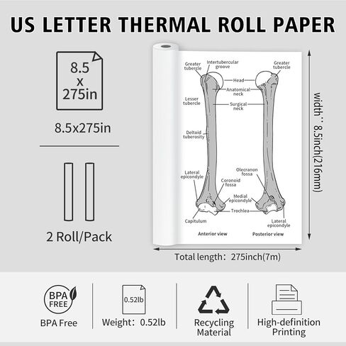 US Letter Thermal Printer Paper 4 Roll, 8.5 inches Compatible with Phomemo M832, M834, M835, A80, MT810 and Other Portable Thermal Printers (4Rolls | 8.5''x27') in Kuwait