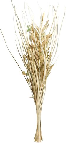 Deco 79 Dried Plant Palm Leaf Handmade Natural Foliage Tall Floral Grass Bouquet with Green Accents, 18" x 6" x 38", Beige in Saudi Arabia