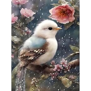 مجموعات الرسم الفني الماسي من QENSPE للبالغين والمبتدئين، والزهور والطيور، ولوحات النقاط الماسية المستديرة الكاملة، 5D DIY للفنون والحرف اليدوية، مجموعات الرسم الفني مقاس 12 × 16 بوصة in Kuwait