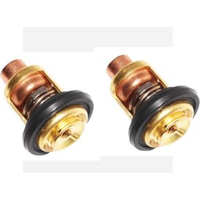 Leesoot 2 pcs 50℃ 122℉ OE# 6E5-12411 Thermostat for Yamaha 2-Stroke 3HP 6HP 8HP 9.9HP 15HP 20HP 25HP 30HP 40HP 50HP 75HP 80HP 85HP 90HP 115HP 130HP 150HP 175HP 200HP 225HP 250HP 1984-2011 Boat Motor