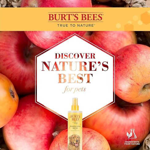 Burt's Bees for Pets Natural Deodorizing Spray for Dogs | Best Dog Spray for Smelly Dogs | Made with Apple & Rosemary | Cruelty Free, Sulfate & Paraben Free, pH Balanced for Dogs - Made in USA, 10 oz in Saudi Arabia