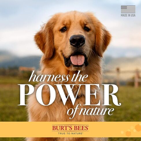 Burt's Bees for Pets Natural Deodorizing Spray for Dogs | Best Dog Spray for Smelly Dogs | Made with Apple & Rosemary | Cruelty Free, Sulfate & Paraben Free, pH Balanced for Dogs - Made in USA, 10 oz in Saudi Arabia