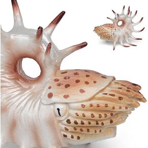 GAICOM Simulation Marine Animal Model Ancient Creature Hollow Ridge Nautilus Model1PCS Party Favors Toys for Boys Girls Kids