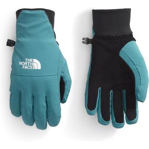THE NORTH FACE Women's Shelbe Raschel Etip Glove, Algae Blue, X-Large