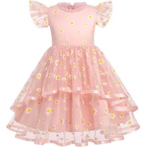 Girls Birthday Party Dress Butterfly Daisy Polka Dots Embroidery Princess Tulle Wedding Pageant Evening Gown