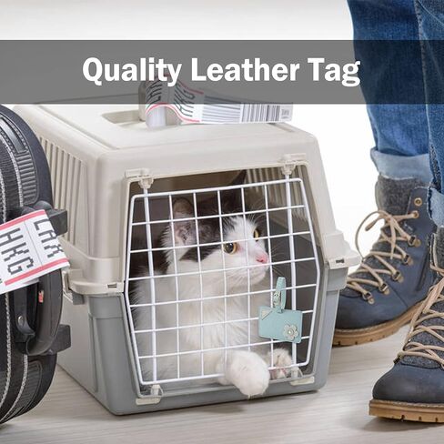 بطاقات الأمتعة الجلدية من كيفانشو لحقائب السفر، بطاقات تعريف للحقائب لملصقات الأمتعة لسفن الرحلات البحرية، مجموعة علامات إكسسوارات السفر (وردي) in Kuwait