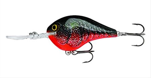 Rapala Rapala Dives to Fishing Lure in Saudi Arabia