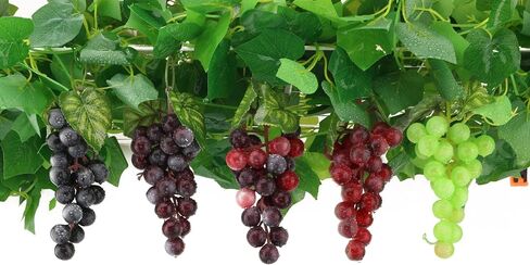 2PCS Simulation of Purple Grapes, Lifelike Rubber Grape Bunches and Fake Grape Bunches, Grape Hanging Ornaments, Photography Props, Food Ornaments and Kitchen Ornaments (24 Grains) in Saudi Arabia