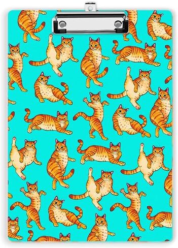 WIRESTER Acrylic Clipboard 12.5 x 9 inches, Standard A4 Letter Size Clip Board for Classroom School Office, Cute Clipboard for Men Women Student Teacher - Orange Tabby Cat Funny Playful Postures in Saudi Arabia
