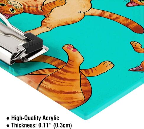 WIRESTER Acrylic Clipboard 12.5 x 9 inches, Standard A4 Letter Size Clip Board for Classroom School Office, Cute Clipboard for Men Women Student Teacher - Orange Tabby Cat Funny Playful Postures in Saudi Arabia