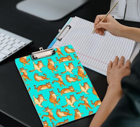 WIRESTER Acrylic Clipboard 12.5 x 9 inches, Standard A4 Letter Size Clip Board for Classroom School Office, Cute Clipboard for Men Women Student Teacher - Orange Tabby Cat Funny Playful Postures in Saudi Arabia