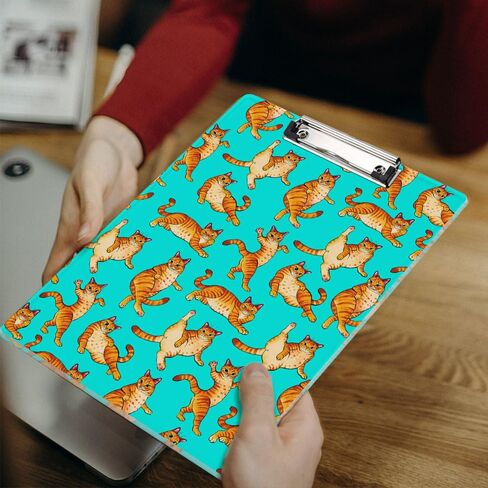 WIRESTER Acrylic Clipboard 12.5 x 9 inches, Standard A4 Letter Size Clip Board for Classroom School Office, Cute Clipboard for Men Women Student Teacher - Orange Tabby Cat Funny Playful Postures in Saudi Arabia