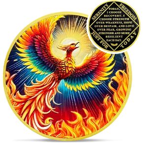 Colorful Sunlight Phoenix Na Medallions - Reborn from Fire Sobriety Coin - Recovery Addiction NA AA Chips and Medallions - Celebrate Living Clean Affirmation Narcotics Anonymous Gifts for Men Women in Kuwait