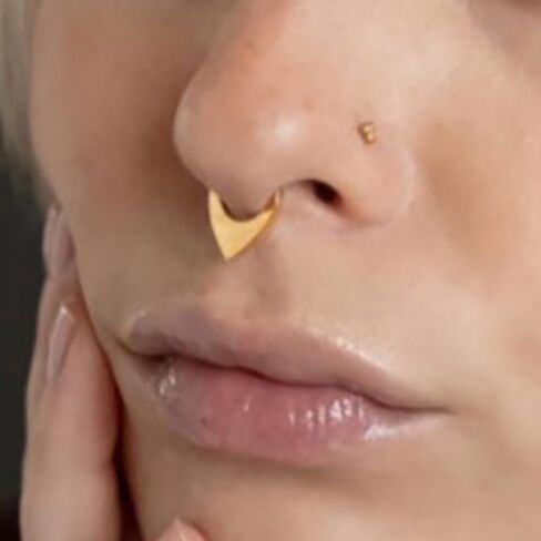 16G Nose Septum Rings Hoops: Stylish Surgical Stainless Steel Nose Rings Hoops, Hinged Segment Nose Lips Helix Cartilage Clicker Hoop Earrings,Rook Daith Tragus Piercing Rings for Women Men 8mm in Saudi Arabia