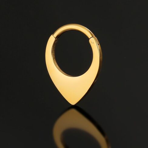 16G Nose Septum Rings Hoops: Stylish Surgical Stainless Steel Nose Rings Hoops, Hinged Segment Nose Lips Helix Cartilage Clicker Hoop Earrings,Rook Daith Tragus Piercing Rings for Women Men 8mm in Saudi Arabia