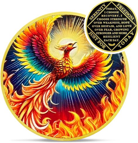 Colorful Sunlight Phoenix Na Medallions - Reborn from Fire Sobriety Coin - Recovery Addiction NA AA Chips and Medallions - Celebrate Living Clean Affirmation Narcotics Anonymous Gifts for Men Women in Kuwait